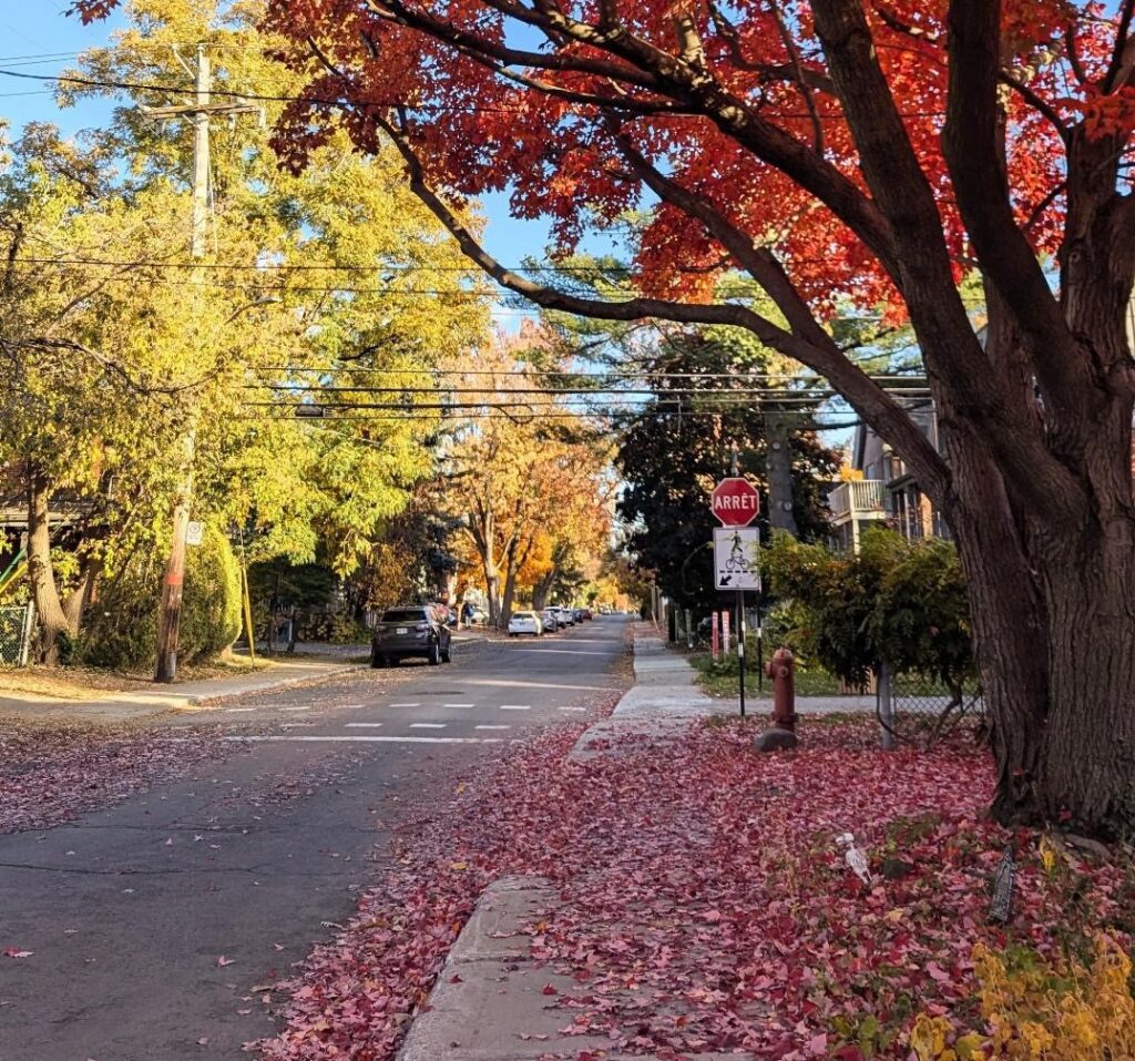 Vieux-Longueuil / Crédit photo ; @laphoto.paraudrey